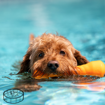 Maty chłodzące i baseny