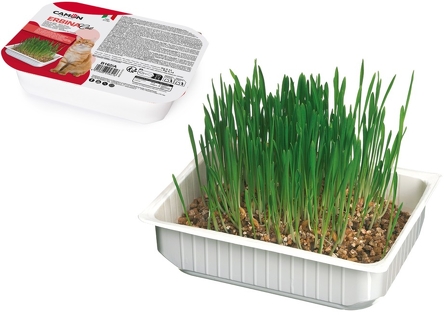 CAMON TRAWA DLA KOTA NASIONA JĘCZMIENIA B162/A