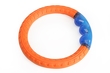 CAMON DOG TOY Zabawka dla psa - dwukolorowy ring TPR ze światłem LED 25,5cm AD0739 - 2