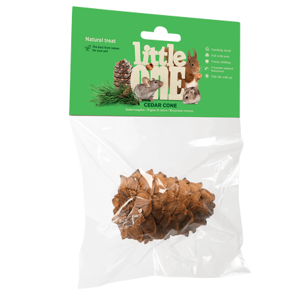 Cedrowa szyszka z orzeszkami pinii Little One