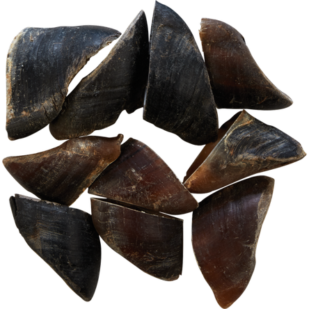 ONERS kopyto wołowe 1szt.