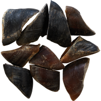 ONERS kopyto wołowe 1szt.